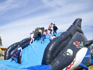 Inflable orca