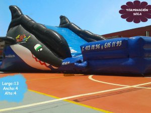 Renta de Inflable Orca