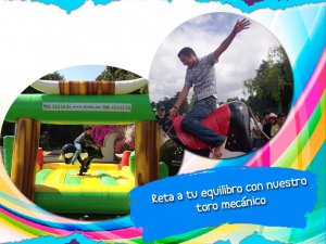 Toro mecánico Adultos